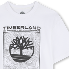 T-shirt TIMBERLAND